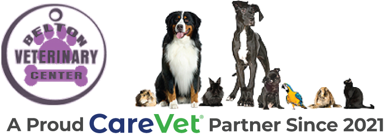 Belton Veterinary Center Logo